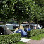 Noleggio bicicletta elettrica Camping Okay Lido Campeggio Sesto Calende (Varese) 3