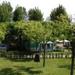 Noleggio bicicletta elettrica Camping Tiglio Campeggio Sirmione (Brescia) 2